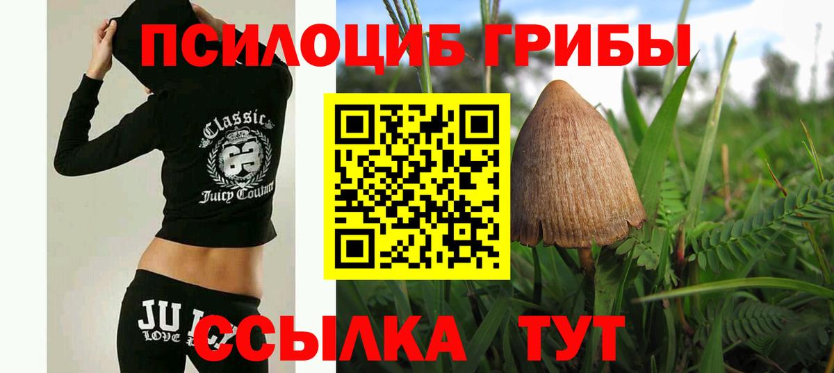 Псилоцибиновые грибы Magic Shrooms  Вход с VPN  Чебаркуль  Галлюциногенные грибы прущие грибы 