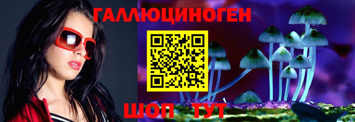 Псилоцибиновые грибы Psilocybine cubensis Чебаркуль